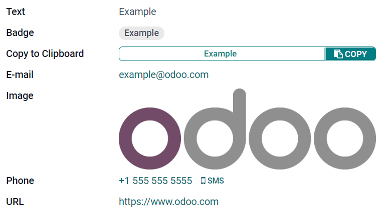 ตัวอย่างของฟิลด์ข้อความที่มีวิดเจ็ตที่แตกต่างกัน