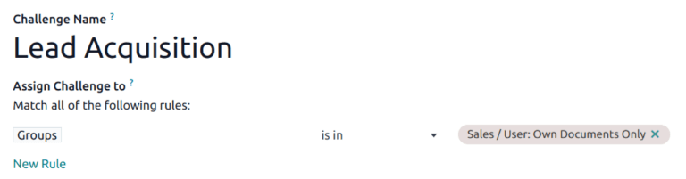 挑战表格的分配规则部分的视图。