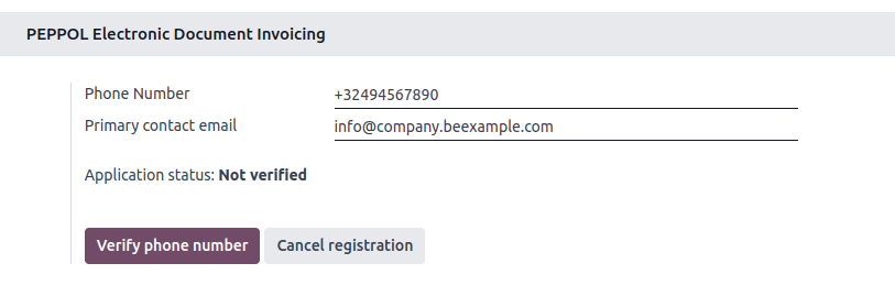电话验证请求核实